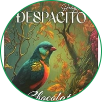 شوكولاته ديسباسيتو Despacito